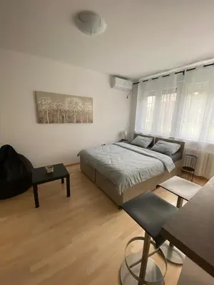a bedroom with a bed and a table in it at Vist 1 apartment in Tošin Bunar