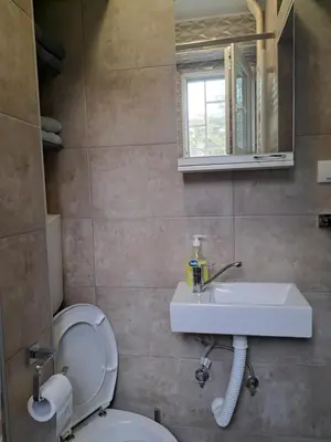 a bathroom with a toilet and a sink and a mirror at Vist 1 apartment in Tošin Bunar