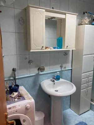 a small bathroom with a sink and a toilet at Rajana , Beograd - Hram Svetog Save in Vračar (historical)