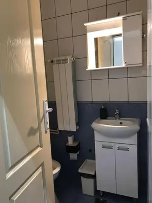 a small bathroom with a sink and a toilet at Saint Sava studio in Belgrade