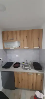 a small kitchen with a sink and wooden cabinets at Tid Apartman in Arandjelovac