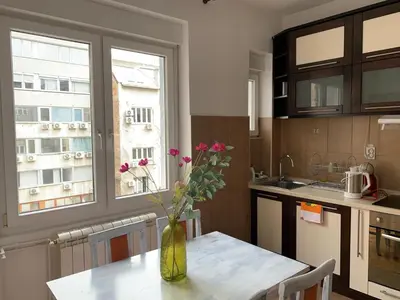 a kitchen with a table with a vase with flowers on it at City Center Crown Apartment in Belgrade
