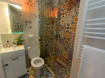 a bathroom with a toilet and a shower at ODMORKO Zemun in Belgrade