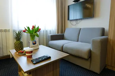 a living room with a couch and a table with a remote control at Smeštaj Tank, Pančevo in Salaši