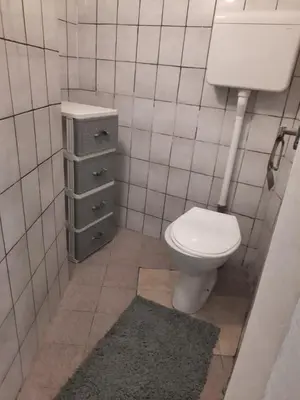 a small bathroom with a toilet and a sink at Apartment Sofija Vracar in Belgrade