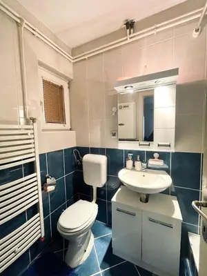 a bathroom with a toilet and a sink at Apartman Bloom in Novi Grad