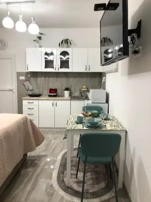 a kitchen with a table and chairs in a room at Studio Lotos in Belgrade