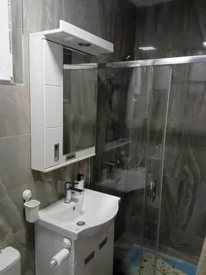 a bathroom with a sink and a shower at Studio Lotos in Belgrade
