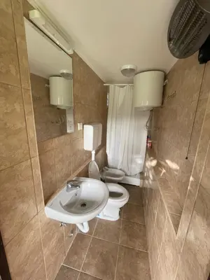 a bathroom with a toilet and a white sink at Vikendica Fruskogorski kutak in Krušedol
