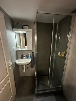 a bathroom with a shower and a sink at TRIANGLE CITY Apartment 1 in Belgrade