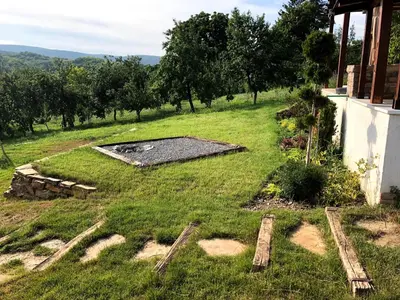 a view of a yard with grass and trees at Kućica in Velika Remeta