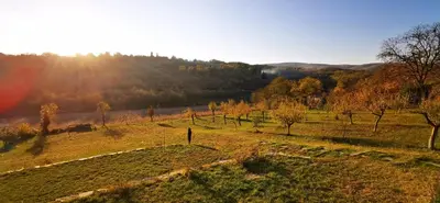 a field of grass with trees in the background at Kućica in Velika Remeta