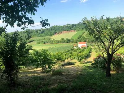 a red barn in a green field with trees at Kućica in Velika Remeta