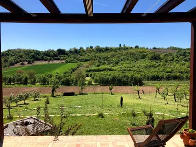 a view of a green field from a window at Kućica in Velika Remeta