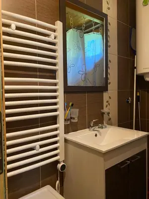 a bathroom with a sink and a mirror and a toilet at Brvnara oaza mira - Devojacki bunar in Alibunar