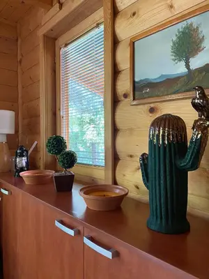 a wooden cabin with a cactus on a counter at Brvnara oaza mira - Devojacki bunar in Alibunar
