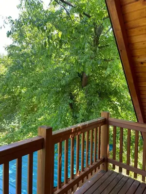 a porch of a cabin with a view of a tree at Brvnara oaza mira - Devojacki bunar in Alibunar