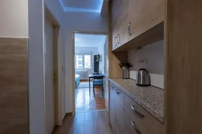 a kitchen with wooden cabinets and a counter top at Belgrade Center Apartment in Belgrade