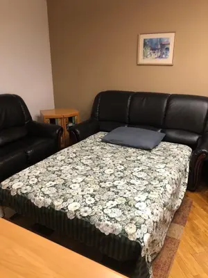 a bed in a room with a black leather couch at Bulevar NT Novi Beograd, Zemun in Belgrade