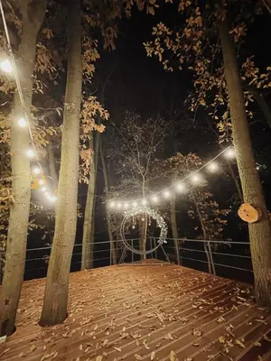 a christmas wreath and lights in a forest at night at Studio Žbun - Kuća na Avali in Pavi°evac