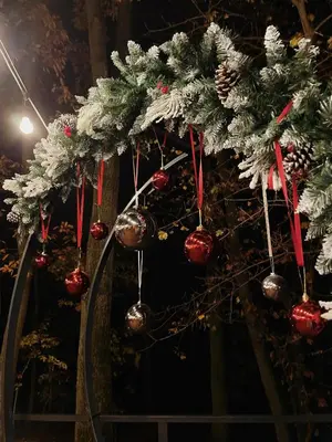 a bunch of christmas ornaments hanging from a tree at Studio Žbun - Kuća na Avali in Pavi°evac