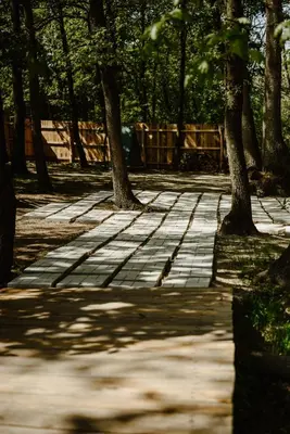 a walkway in a park with trees on it at Studio Žbun - Kuća na Avali in Pavi°evac