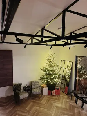 a living room with a christmas tree in the corner at Studio Žbun - Kuća na Avali in Pavi°evac