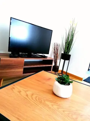 a living room with a television and a table with a plant at Apartman Kedar in Arandjelovac