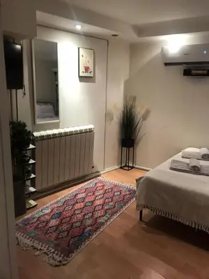 a bedroom with a bed and a rug and a mirror at Glorry M in Belgrade