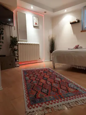 a room with a bed and a rug on the floor at Glorry M in Belgrade