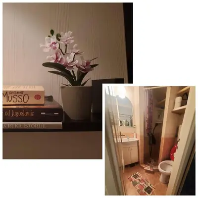 a picture of a bathroom with a plant on a table at Glorry M in Belgrade