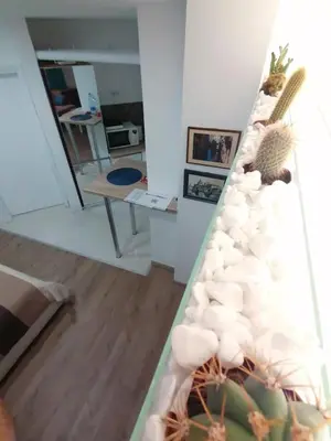a living room with a wall with a cactus at Apartman Dunja S in Belgrade