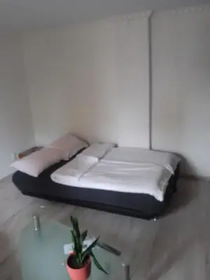 a bedroom with a bed and a table with a plant at Apartman Hrkalovic in Arandjelovac