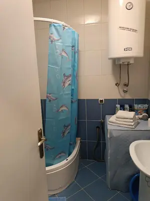 a bathroom with a shower with a dolphin shower curtain at Apartman Mima in Borča