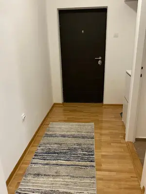 a hallway with a black door and a rug at Apartment Bruno NICE PLACE in Belgrade