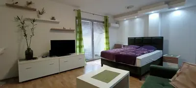 a bedroom with a bed and a tv and a couch at Despot 105 in Belgrade