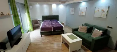 a living room with a couch and a bed and a tv at Despot 105 in Belgrade