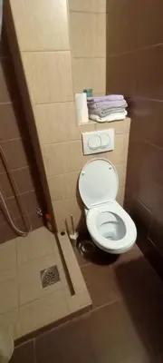 a bathroom with a white toilet in a room at Despot 105 in Belgrade
