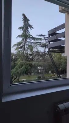 a window with a view of a tree at Vila Ruža Vetra in Belgrade