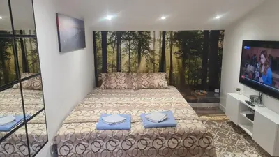 a bedroom with a large bed and a flat screen tv at SAMITEST in Batajnica