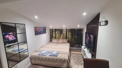 a bedroom with a bed and a flat screen tv at SAMITEST in Batajnica