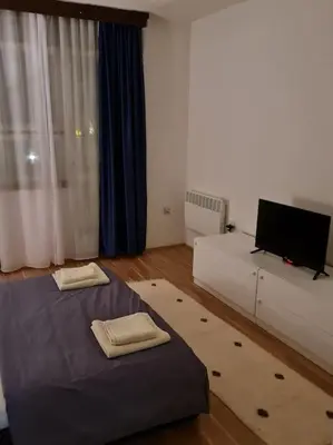a living room with two beds and a flat screen tv at Maksim in Vračar (historical)