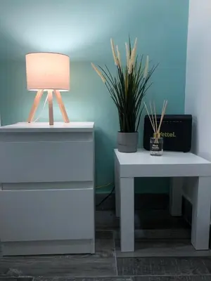 a table with a lamp and a plant on it at So Cozy in Belgrade