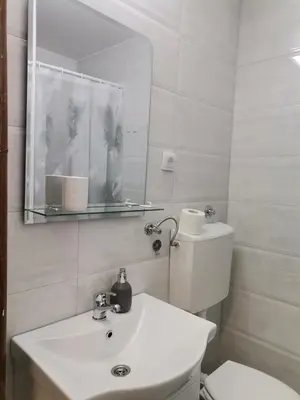 a bathroom with a sink and a mirror and a toilet at Apartman Petrov Pancevo in Pančevo