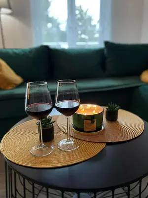two glasses of red wine sitting on a table at La Vista in Stari Banovci