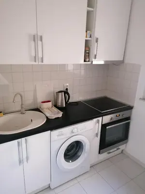 a kitchen with a washing machine and a sink at Belgrade apartment Skadarlija II in Belgrade