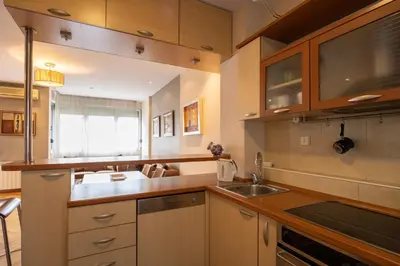 a kitchen with wooden cabinets and a sink at Belgrade Center Apartment Lux II in Belgrade