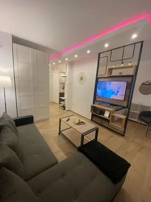 a living room with a couch and a flat screen tv at Sancho Leone in Belgrade