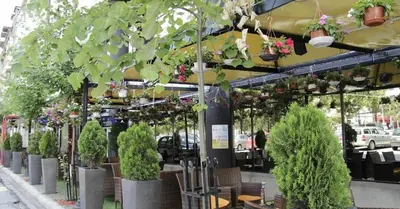 a restaurant with a bunch of potted trees and plants at Design Hotel Mr President in Belgrade