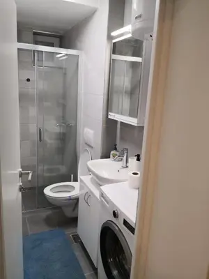a bathroom with a shower toilet and a sink at Bibi Zahumska apartman in Belgrade